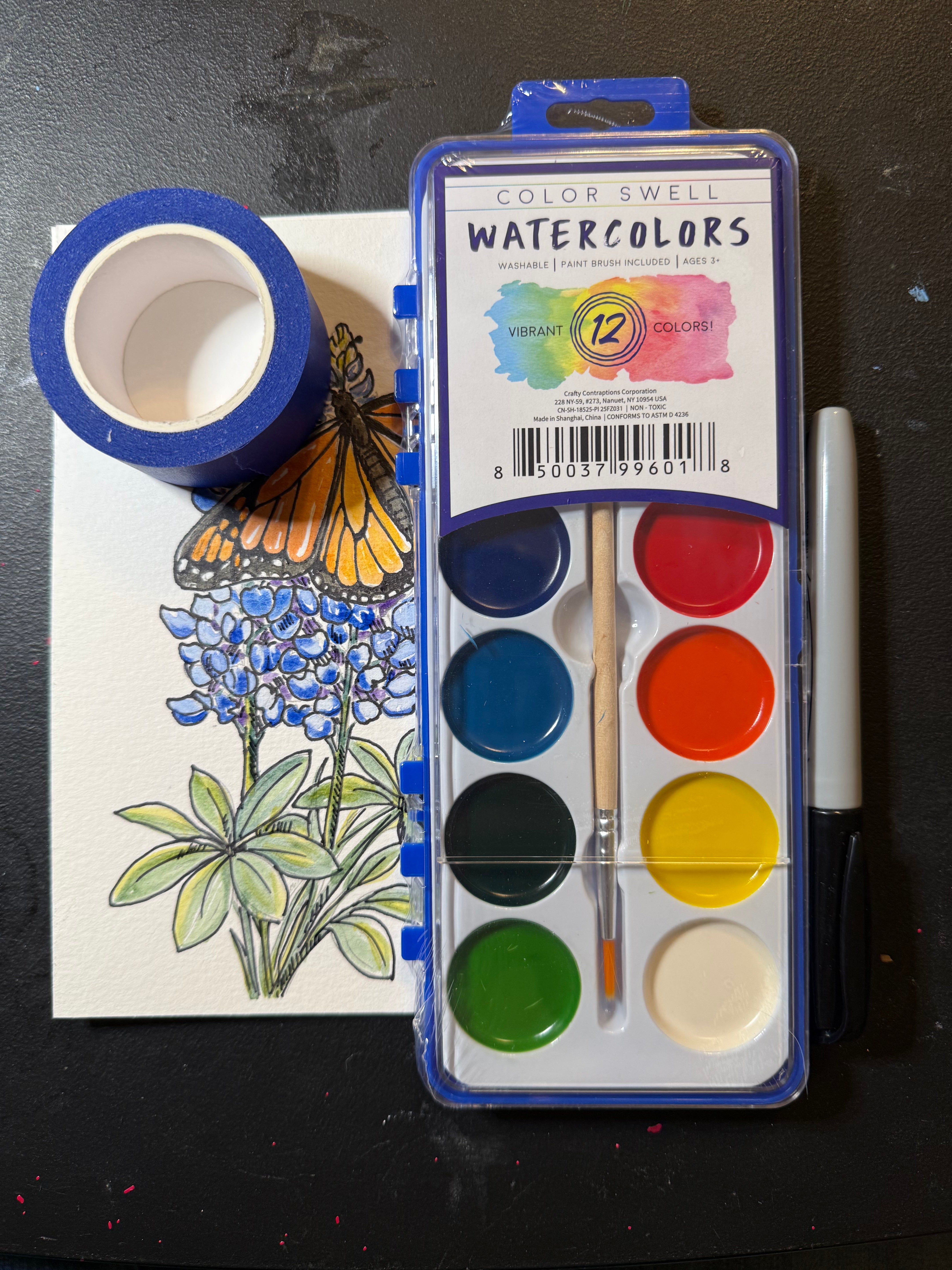 DIY Watercolor Painting Kit Butterflies & Flowers