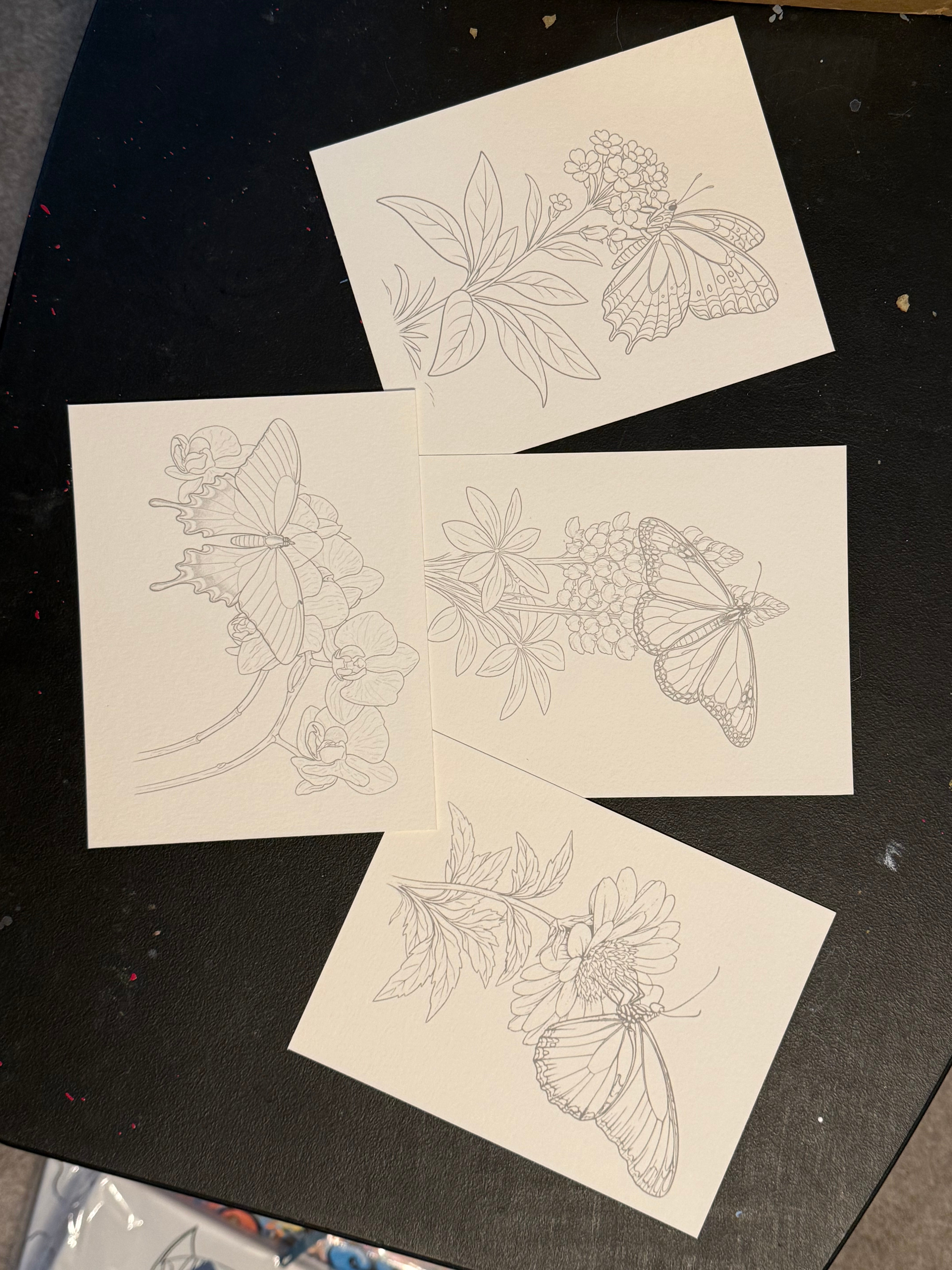 DIY Watercolor Painting Kit Butterflies & Flowers