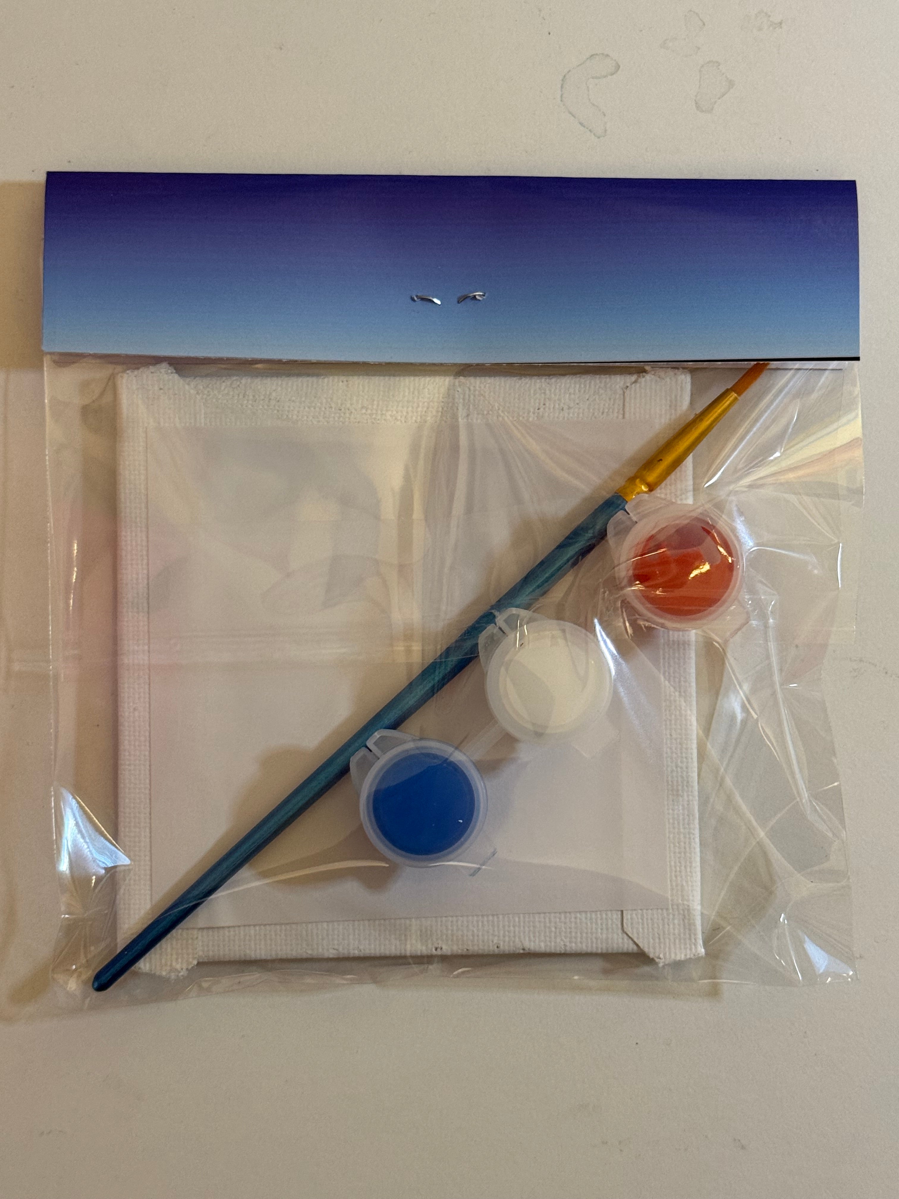 DIY Canvas Painting Kit MINI Blue Cloud Bear