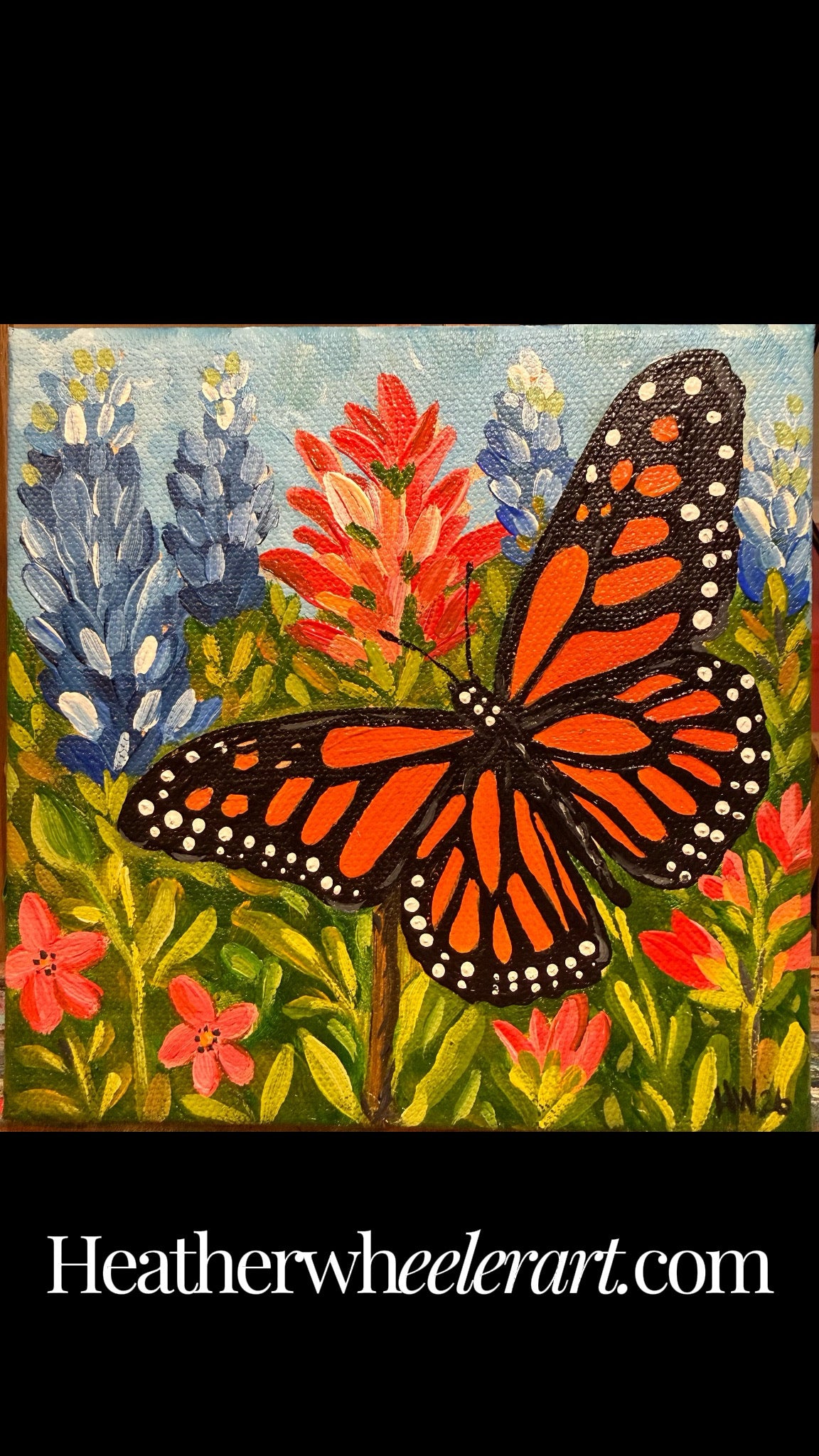 Butterfly on Bluebonnets