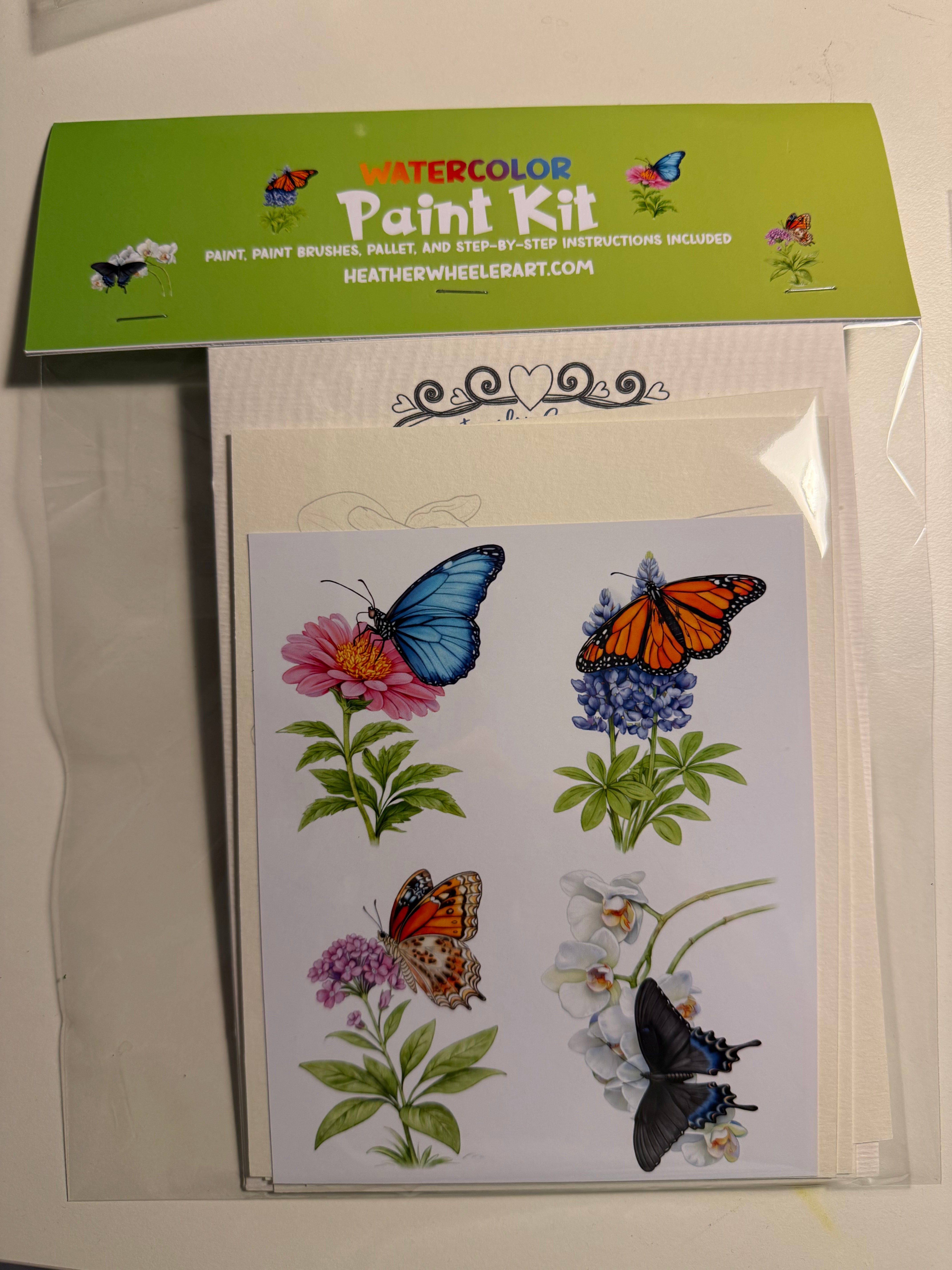 DIY Watercolor Painting Kit Butterflies & Flowers