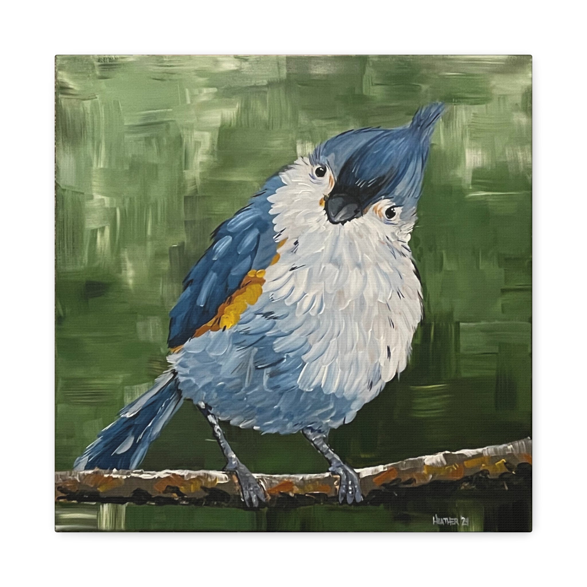 Art: Tufted Titmouse Bird Print Canvas Print