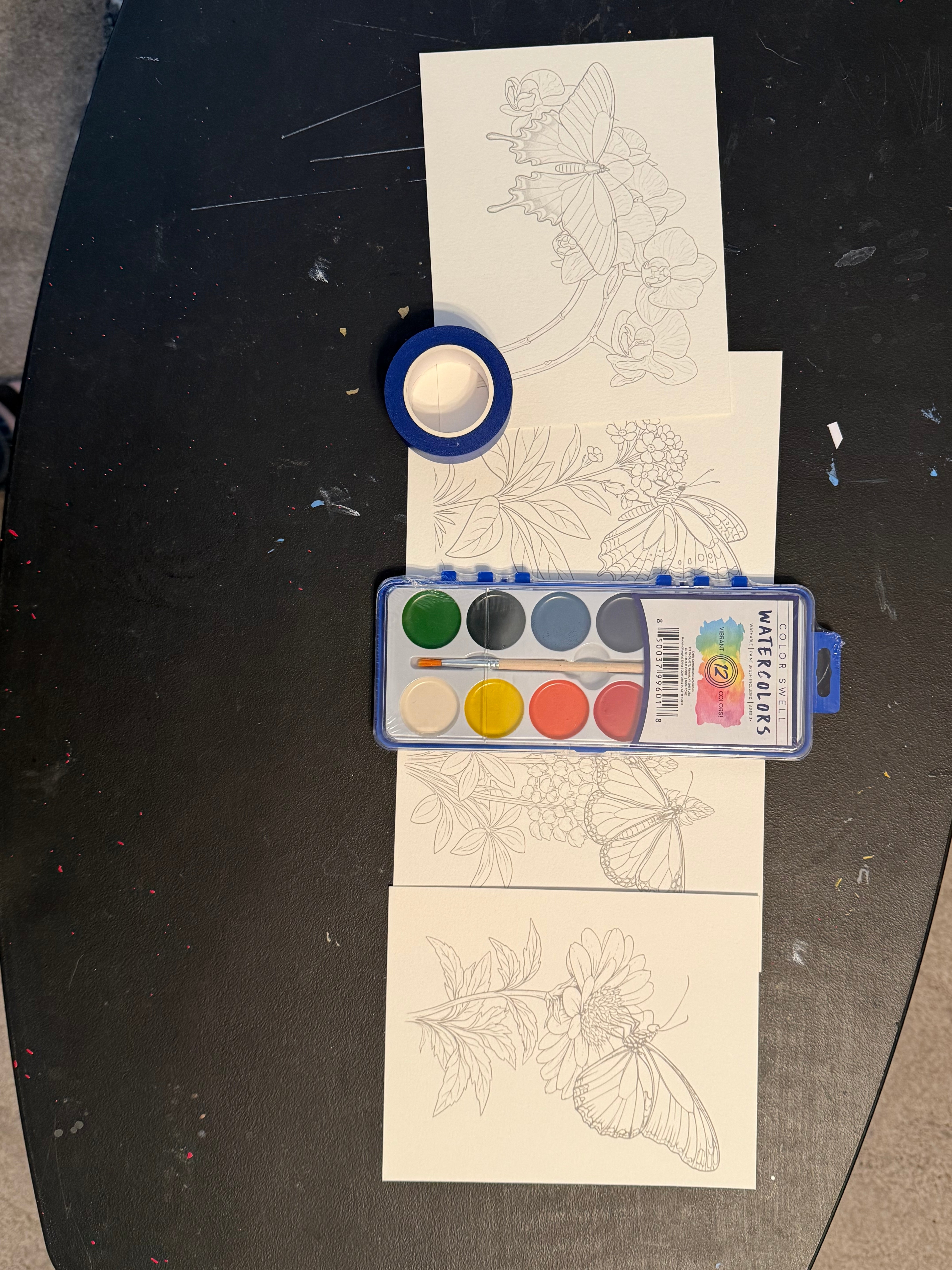 DIY Watercolor Painting Kit Butterflies & Flowers