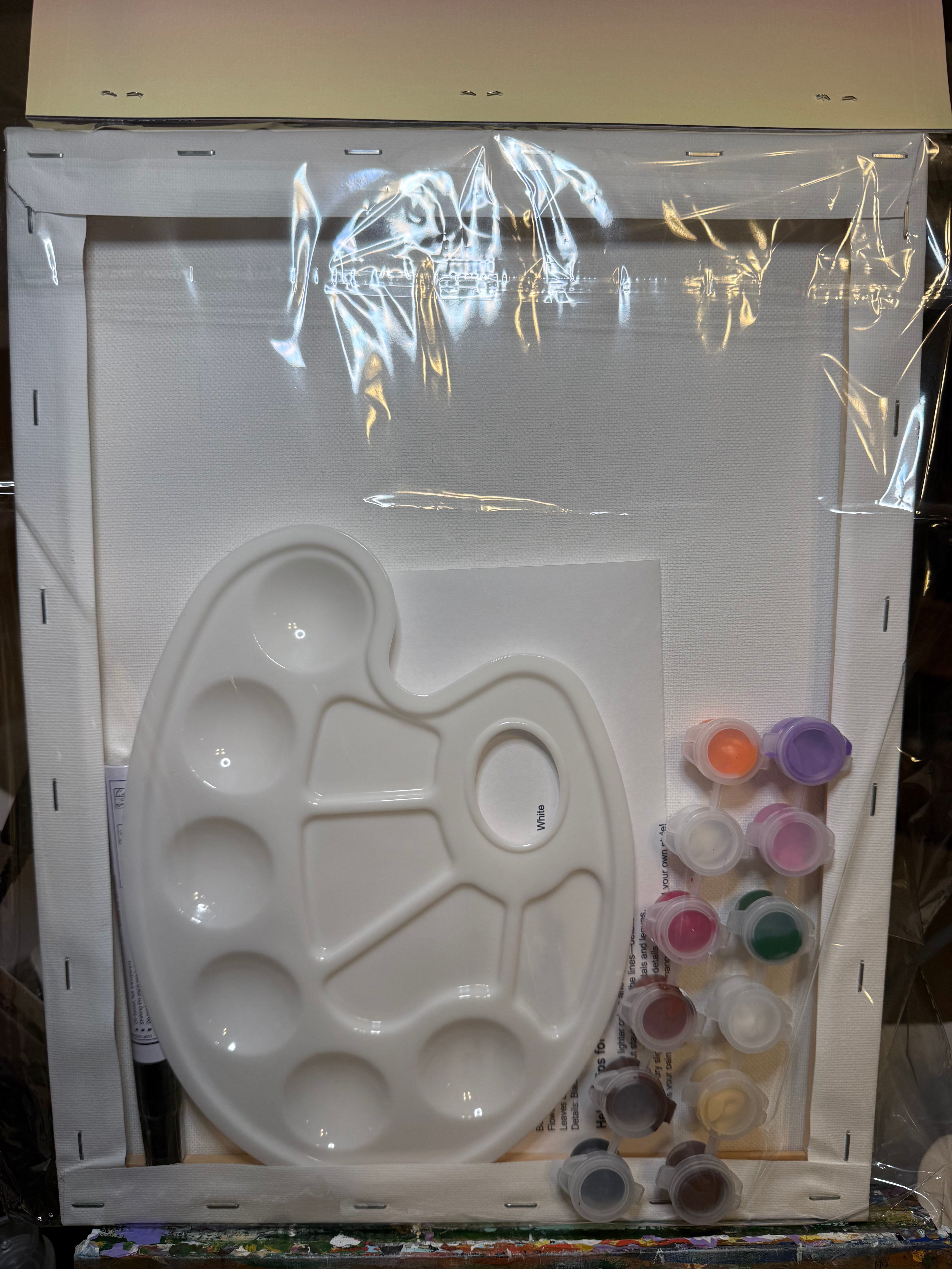 DIY Canvas Painting Kit Cowboy Boot with flowers