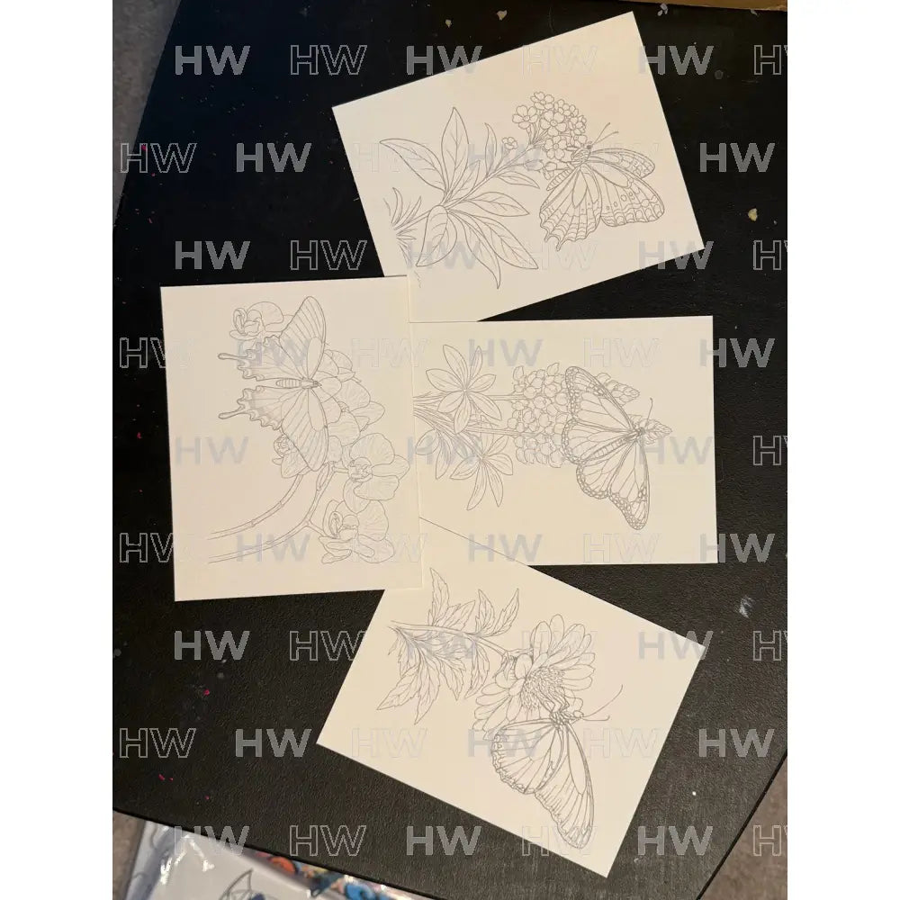 DIY Watercolor Painting Kit Butterflies & Flowers Canvas Original