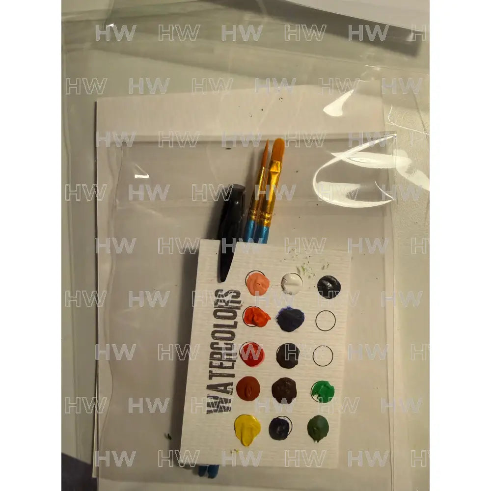 DIY Watercolor Painting Kit Butterflies & Flowers Canvas Original