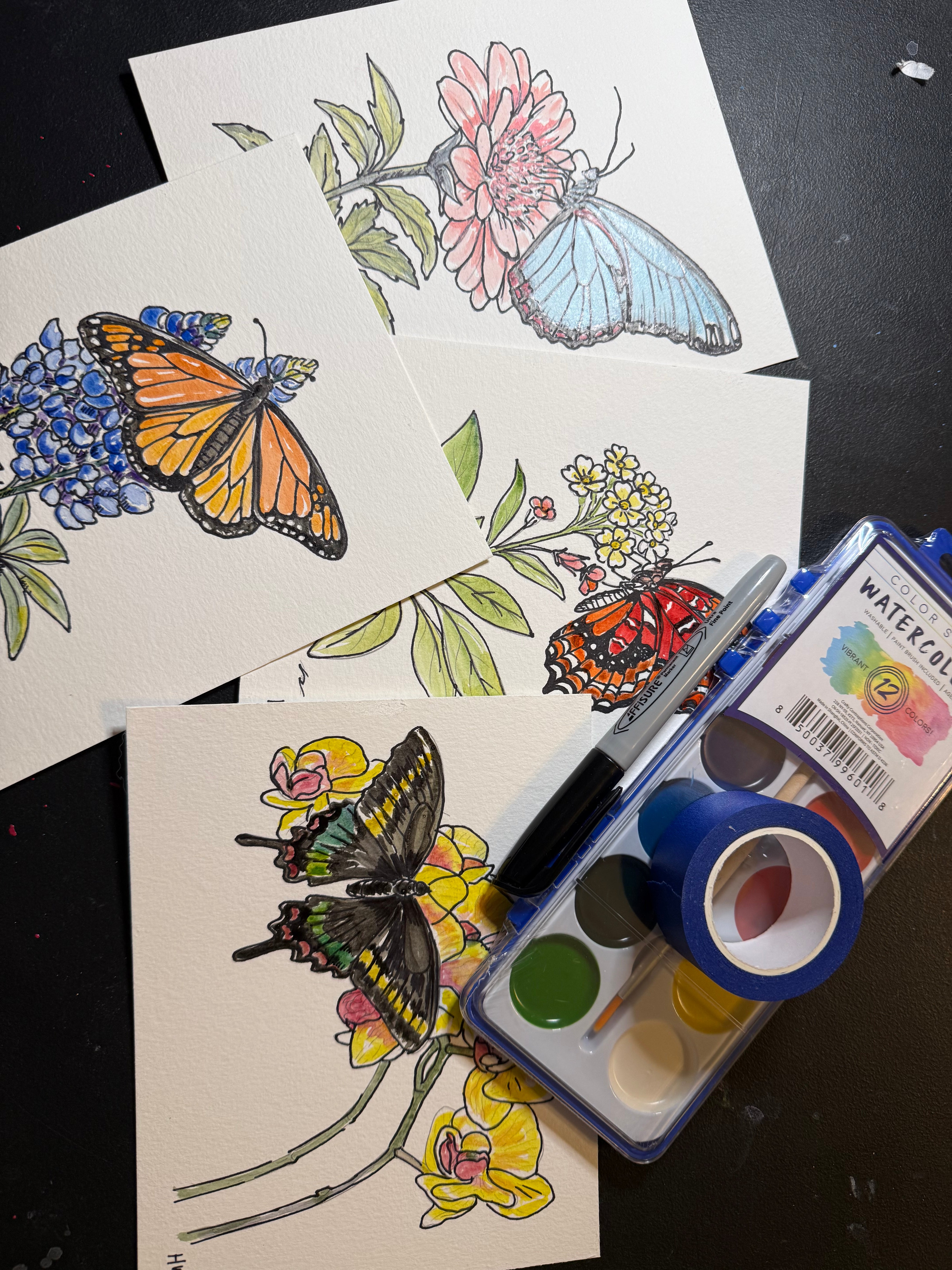 DIY Watercolor Painting Kit Butterflies & Flowers