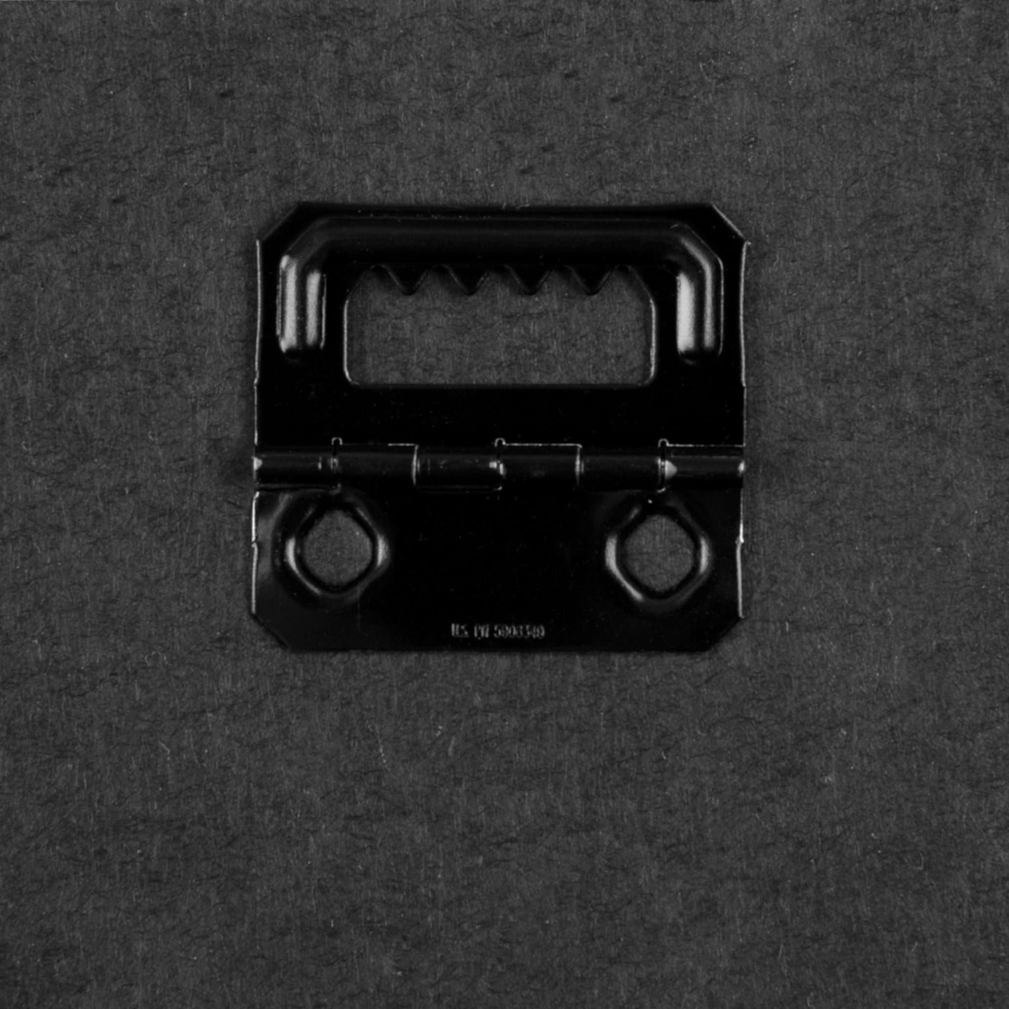 Art: Hereditary Canvas Print