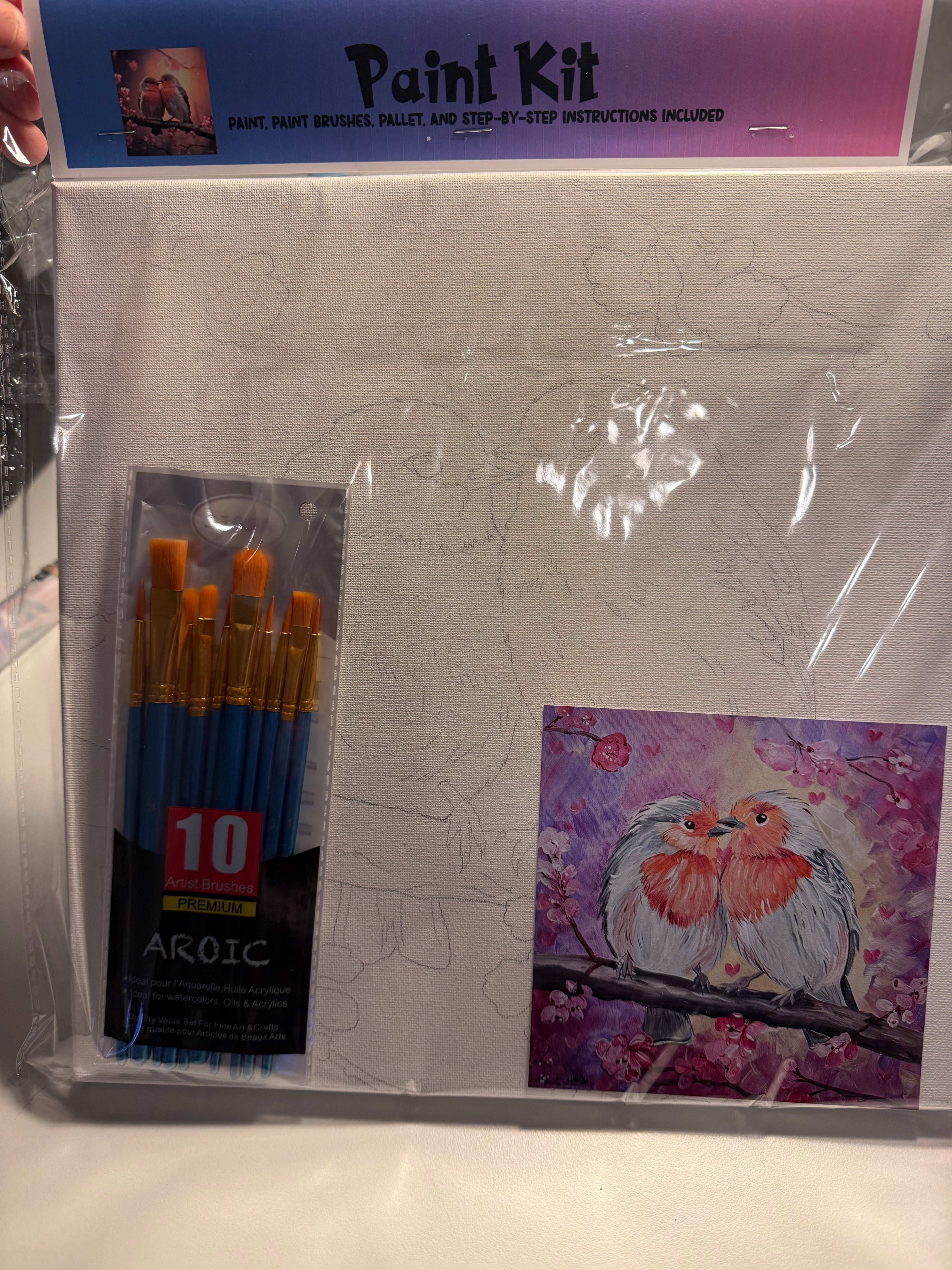 DIY Canvas Painting Kit LOVE Birds