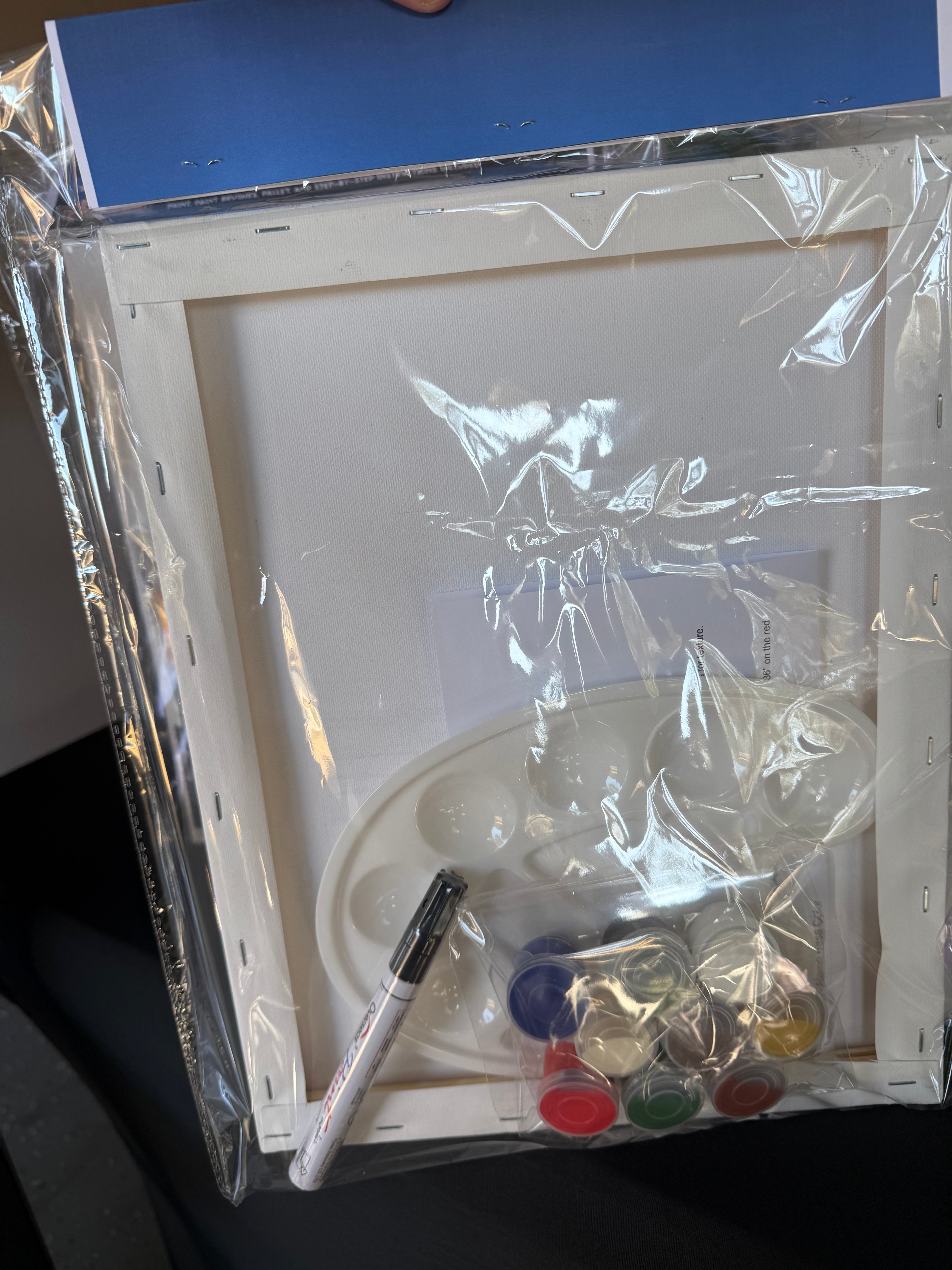 DIY Canvas Painting Kit ALAMO