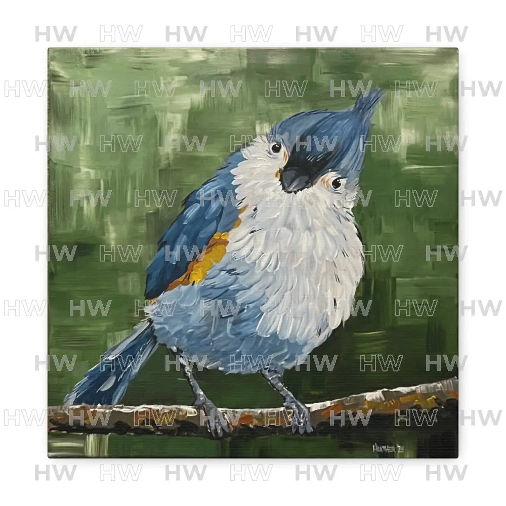 Art: Tufted Titmouse Bird Print Canvas Print - 12″ x 12″ / 1.25’’ - Canvas