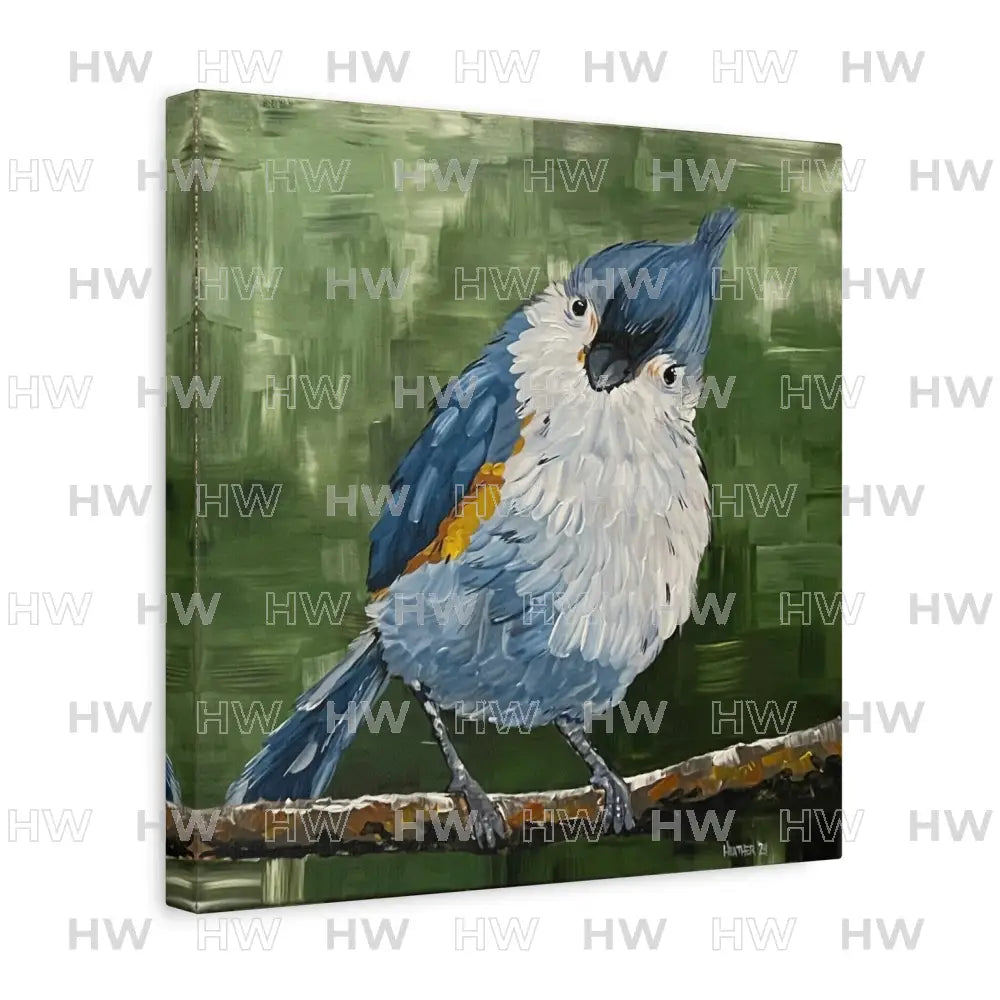 Art: Tufted Titmouse Bird Print Canvas Print - 14’’ x 14’’ / 1.25’’ - Canvas