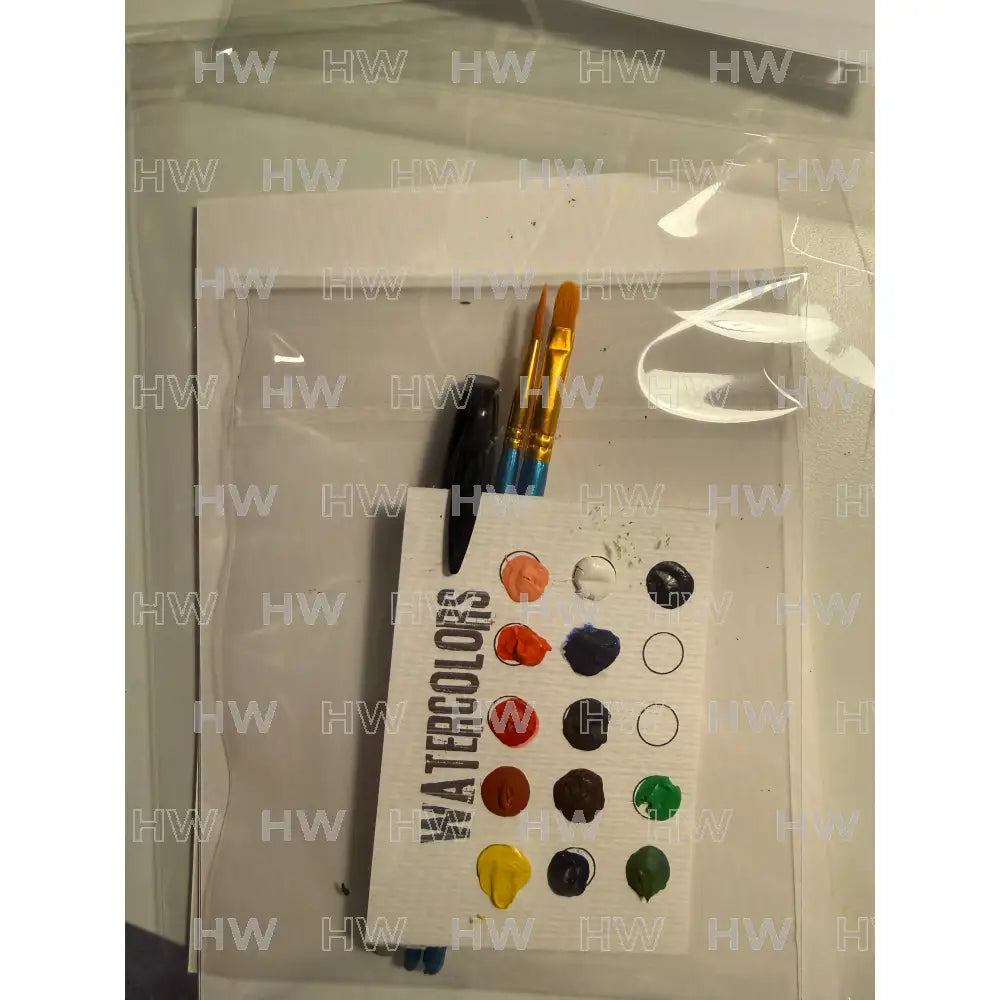 DIY Watercolor Painting Kit Butterflies & Flowers Canvas Original